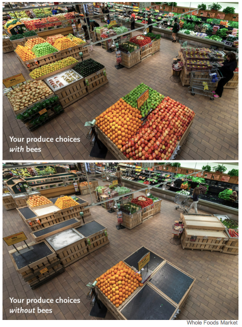 Your supermarket without bee pollination